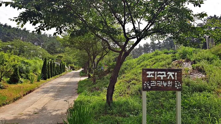 피구지 관광농원