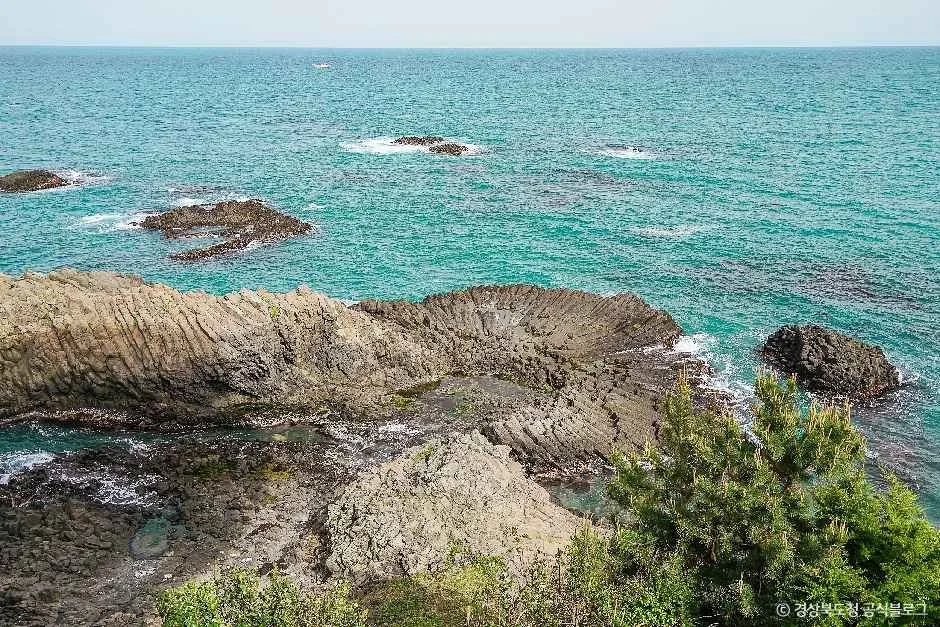 경주 양남 주상절리군