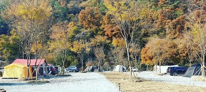 아우어캄푸스