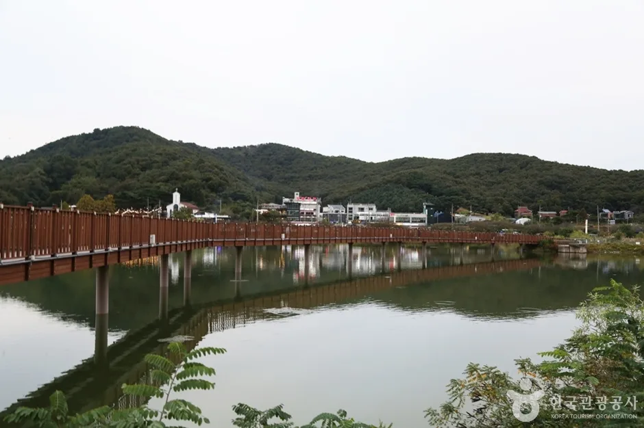 물왕호수