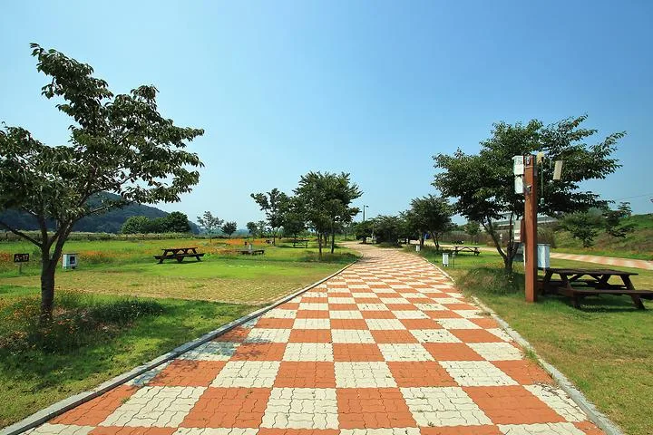 청양동강리오토캠핑장