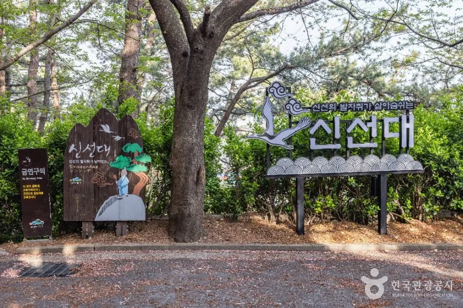 신선대(부산)
