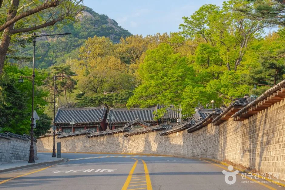 청와대 앞길