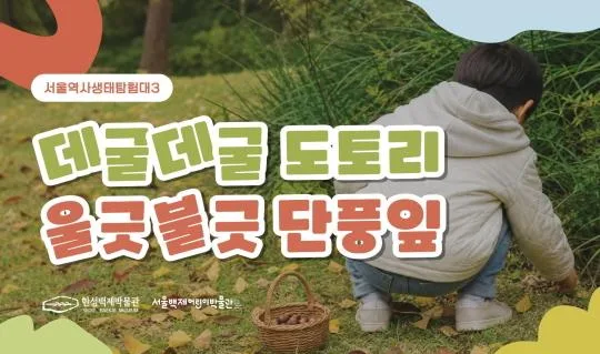 [서울백제어린이박물관] 유아~초등 1학년 동반가족 대상 [서울역사생태탐험대3] 가을