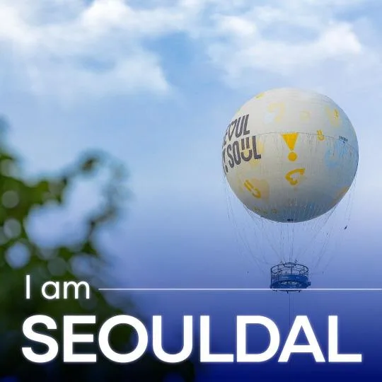 서울달(SEOULDAL)