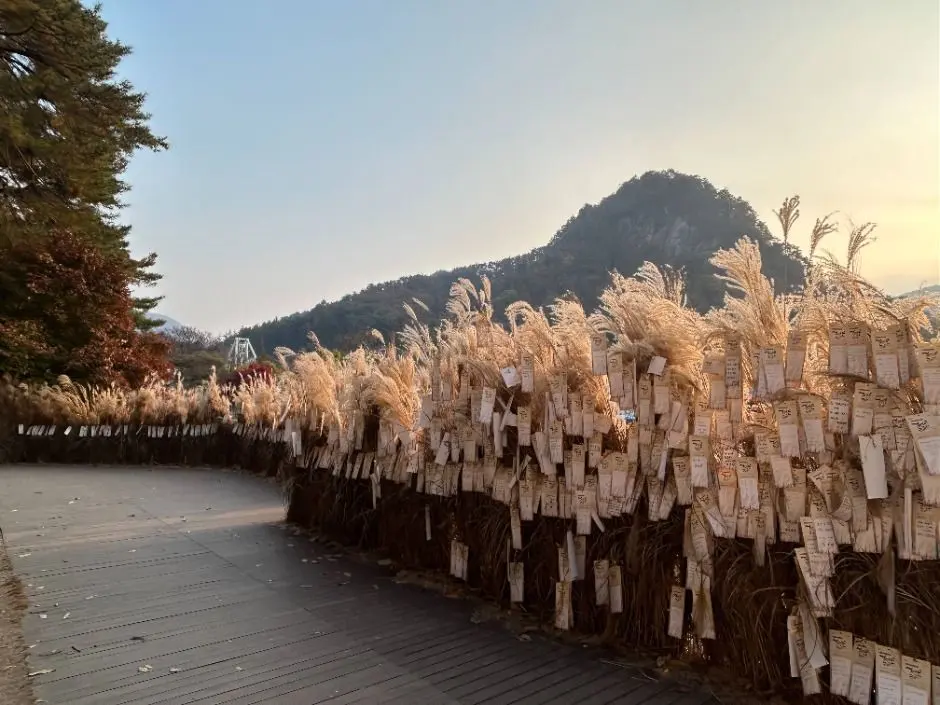 포천 산정호수 명성산 억새꽃축제 포스터