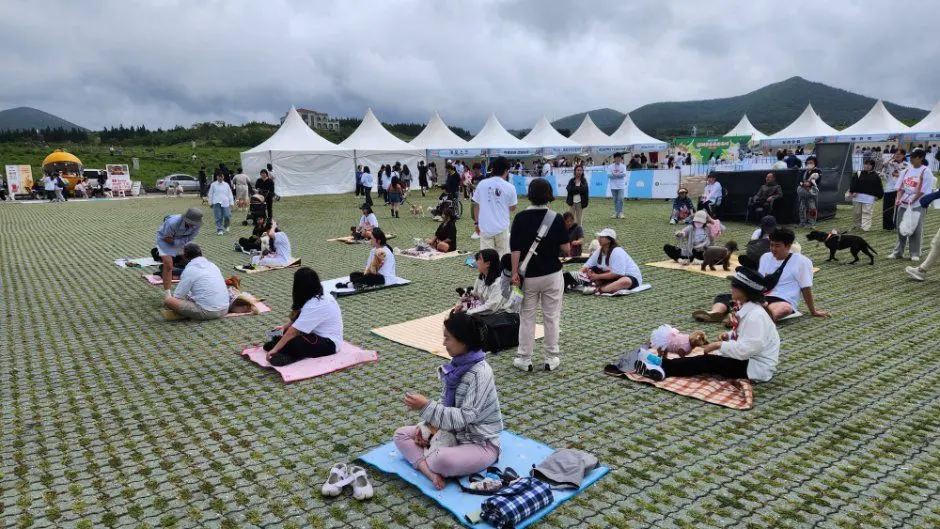 제주 반려동물 문화산업 한마당 포스터