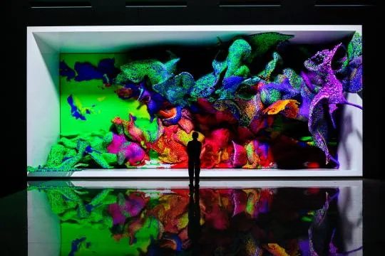세계적인 AI 미디어 아티스트 [레픽 아나돌의 최초 상설전시]