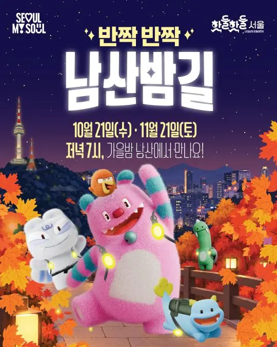 [서울시청] 반짝반짝 남산밤길