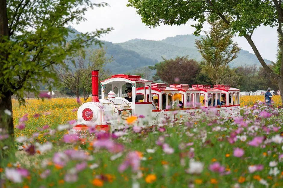 의령기강리치꽃축제 포스터